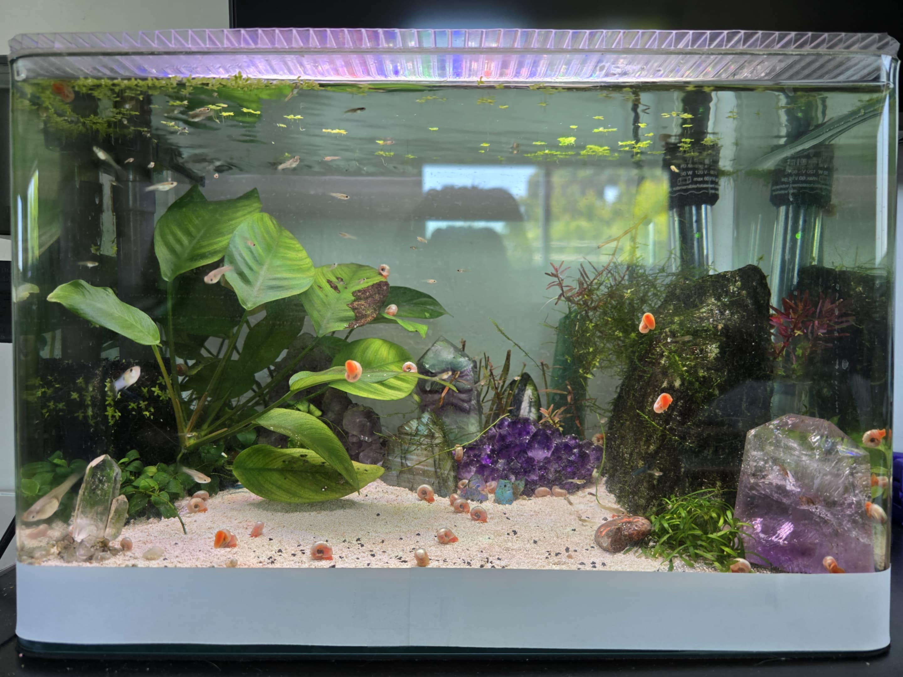 small aquarium